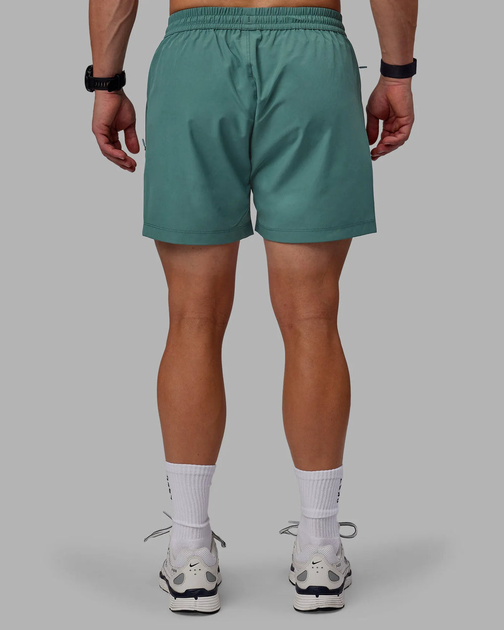 Sage Bush