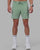 Iceberg Green