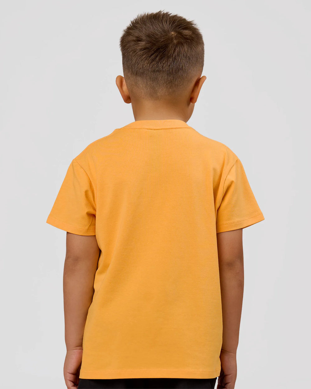 Warm Apricot